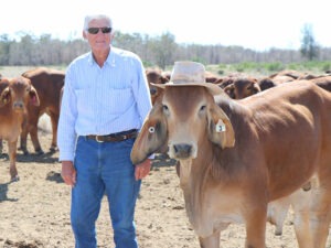 Keith-Wilson-and-young-bull