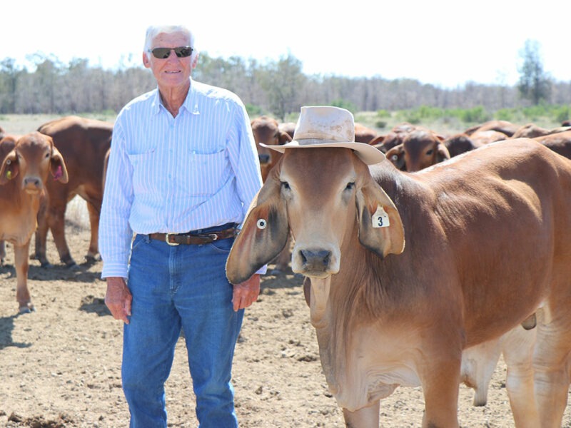 Keith Wilson and young bull