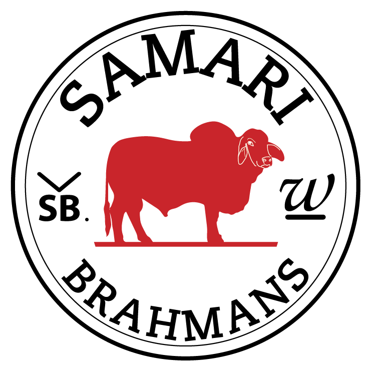 samari brahmans logo colour@2x